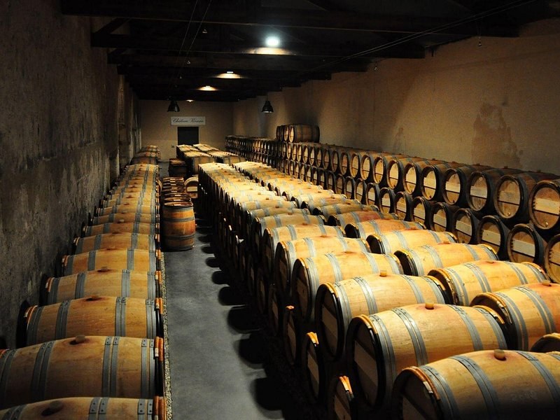 A long barrel cellar, the casks in rows under hanging lamps