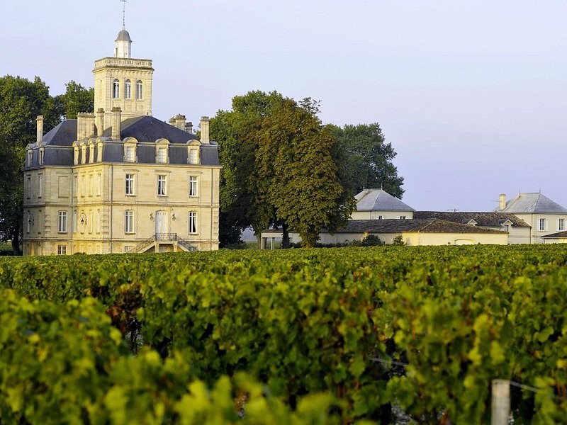 A château with a square lookout tower behind rows of vines