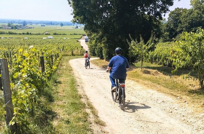 E-bike trip : From Bordeaux to Saint-Emilion with picnic lunch