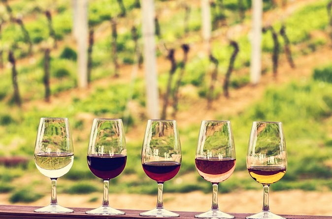 Five glasses of wine, from white to sweet, on a rail above the vines