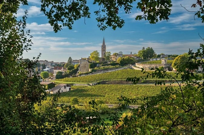Saint-Émilion on its hill across the vineyards, framed by trees