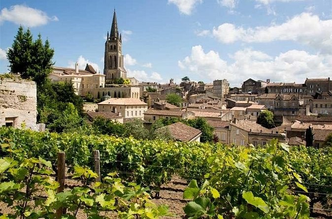 Saint-Émilion's bell tower and roofs above a slope of vines