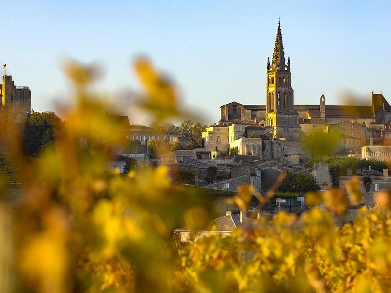 Saint-Émilion's bell tower through vine leaves turning gold in autumn
