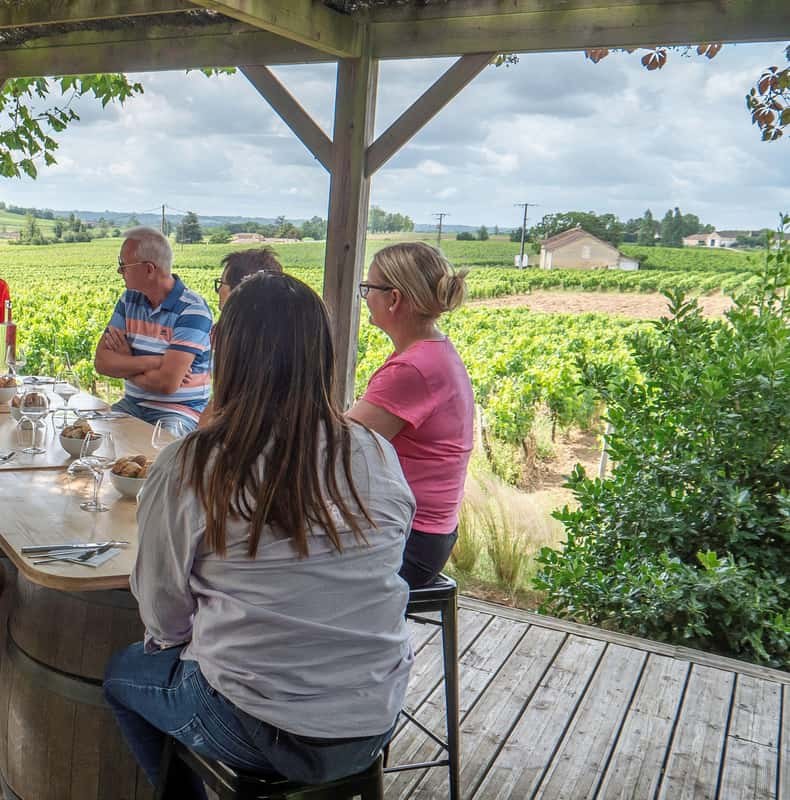 From Bordeaux: St-Emilion Day Tour with Tastings and Lunch