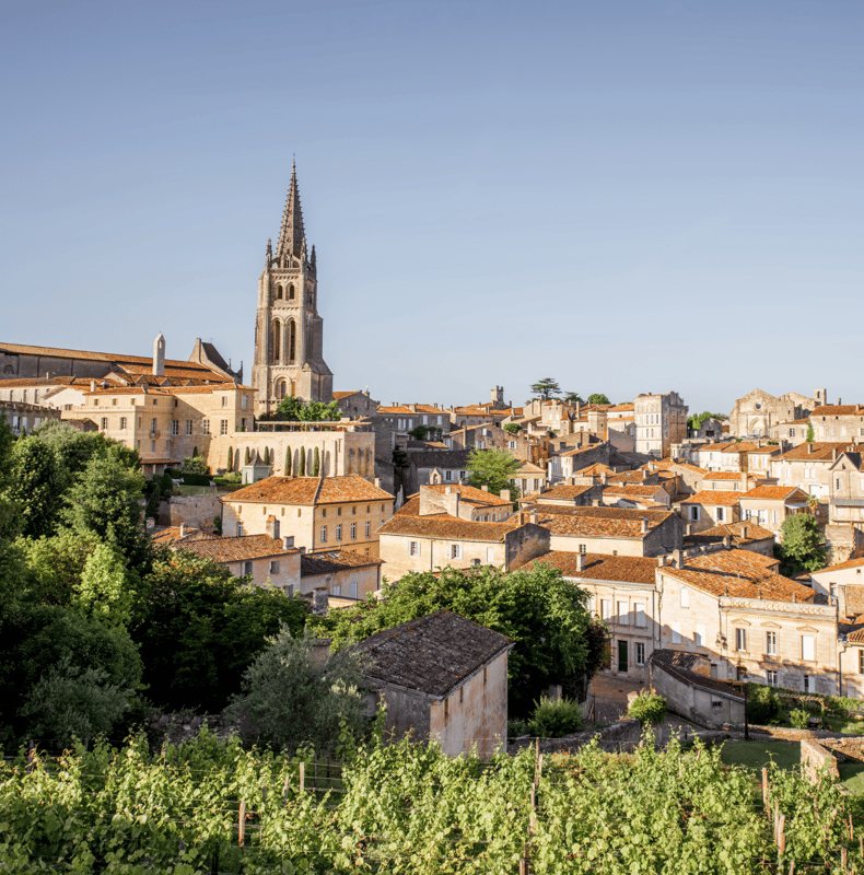 From Bordeaux: Saint-Émilion Half-Day Tour with Wine Tasting