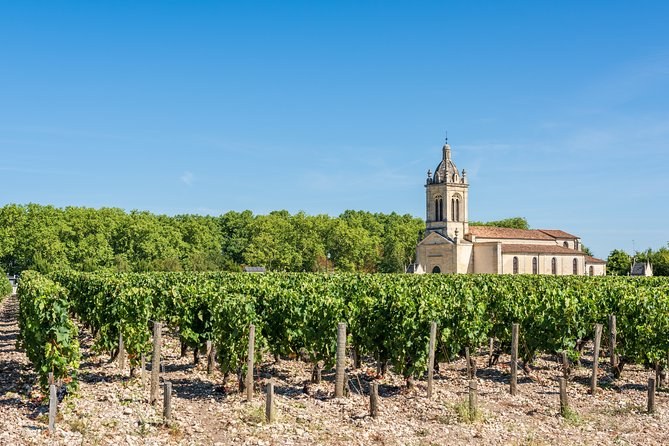 A village church and its bell tower beyond a field of vines on stony ground